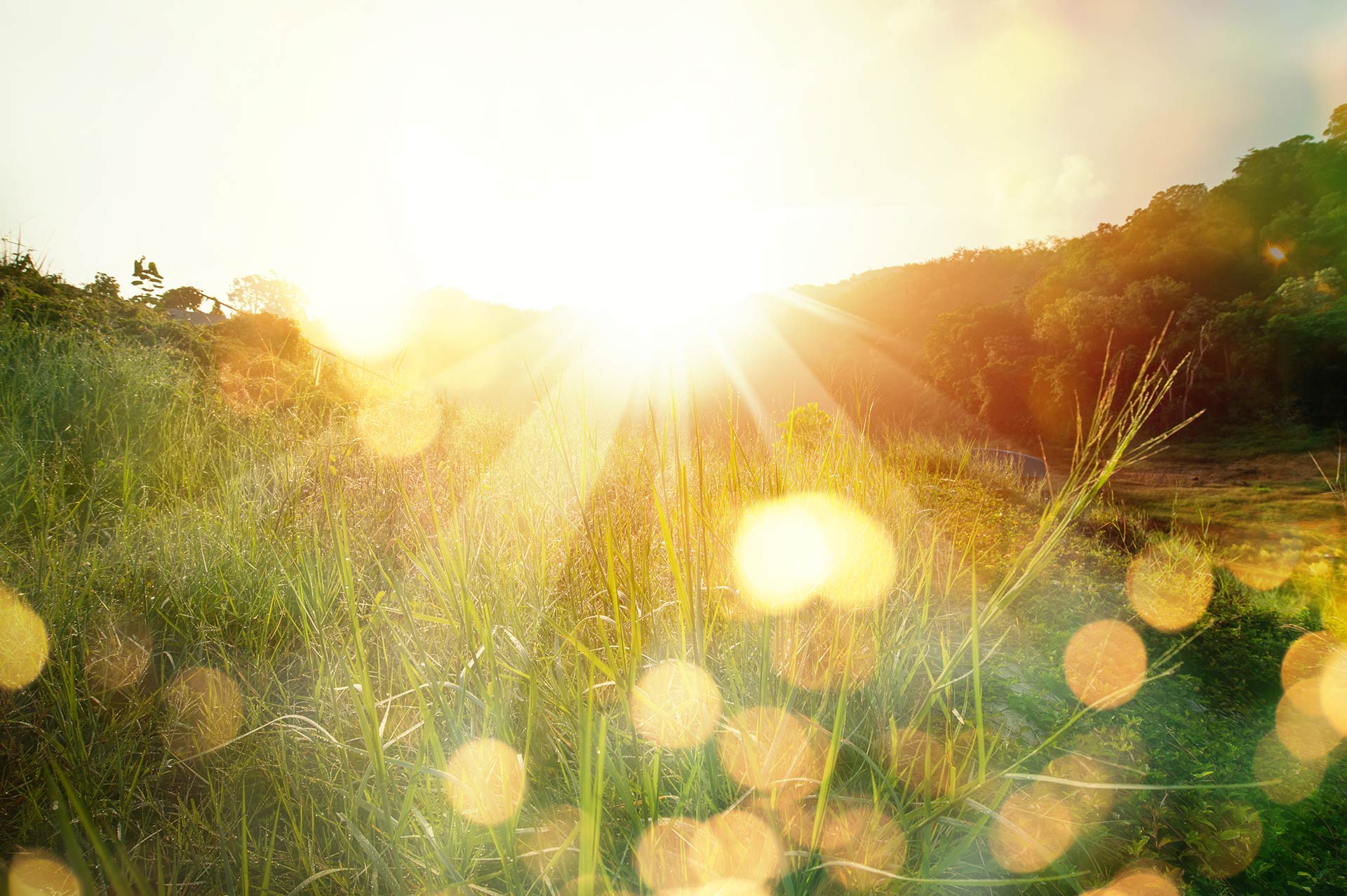 Mindfulness Tips and Techniques | Practical Mindful Practice Guide