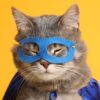 Mindfulness is your Superpower: Becoming a Better Manager