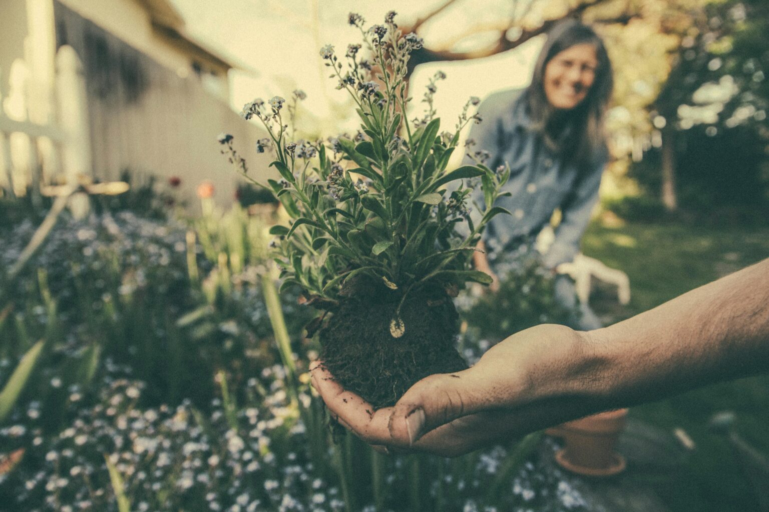 mindful gardening headline image