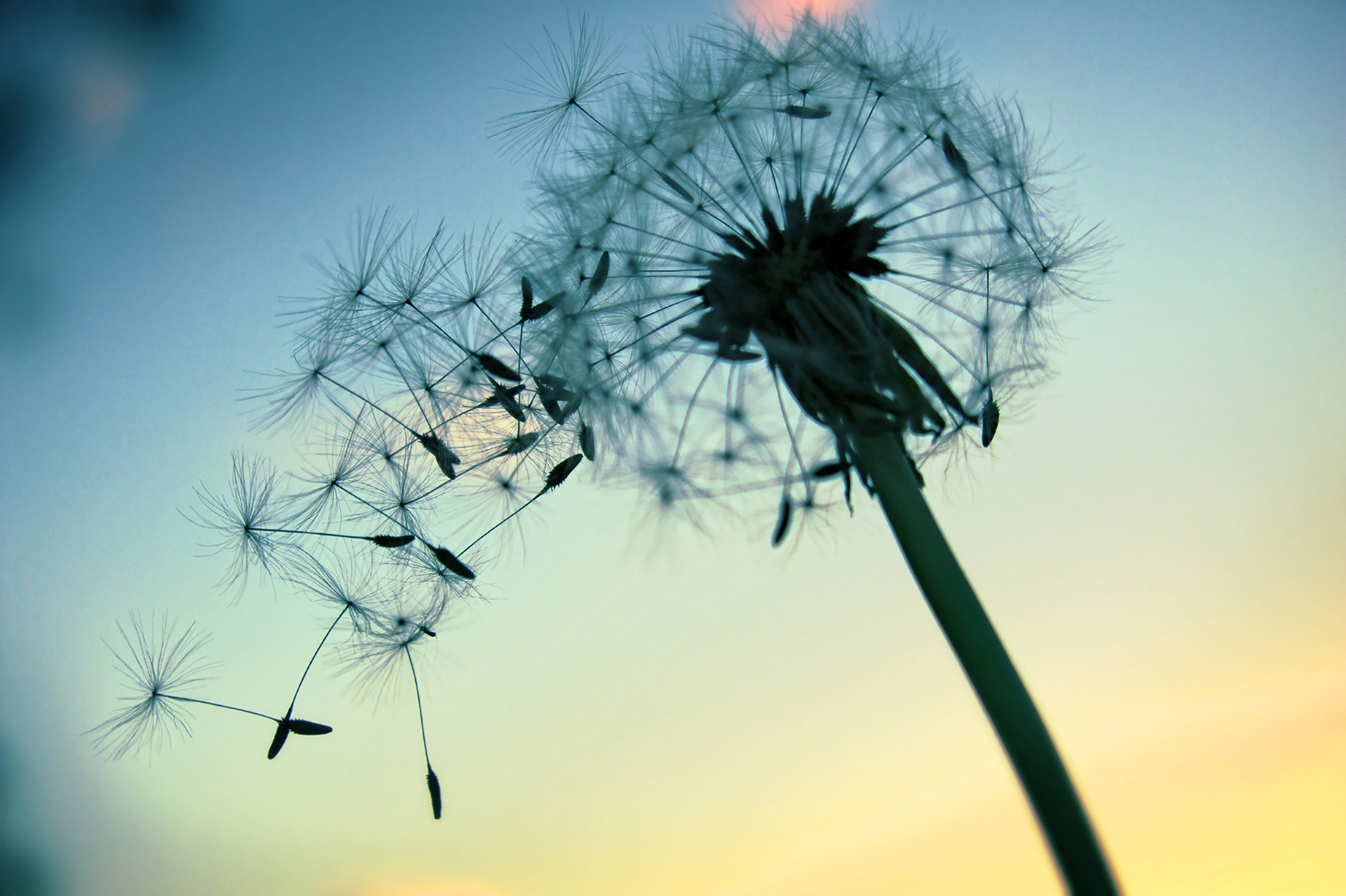 Mindfulness-Based Stress Reduction (MBSR) Package – 2 hours