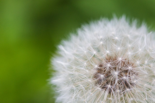 E-Learning 8-Week Mindfulness-based Stress Reduction Course